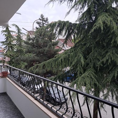 New Apartament Pogradec Bagian luar foto