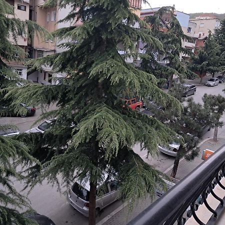 New Apartament Pogradec Bagian luar foto