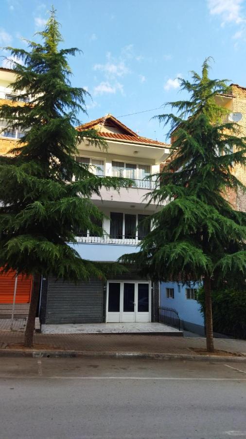 New Apartament Pogradec Bagian luar foto
