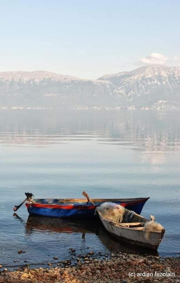 New Apartament Pogradec Bagian luar foto